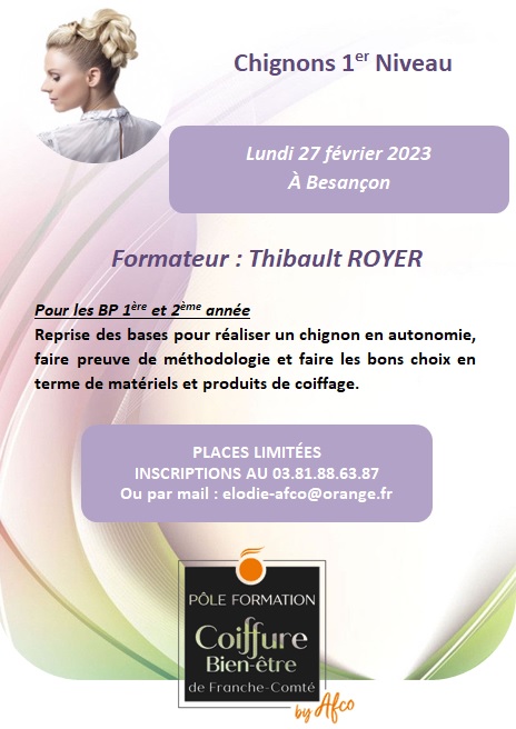 stage-chignons-1er-niveau-afco